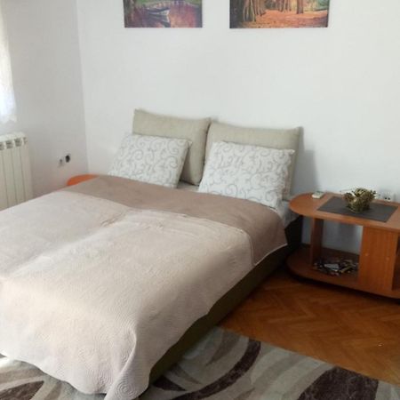 Cozy studio Belgrade  Esterno foto