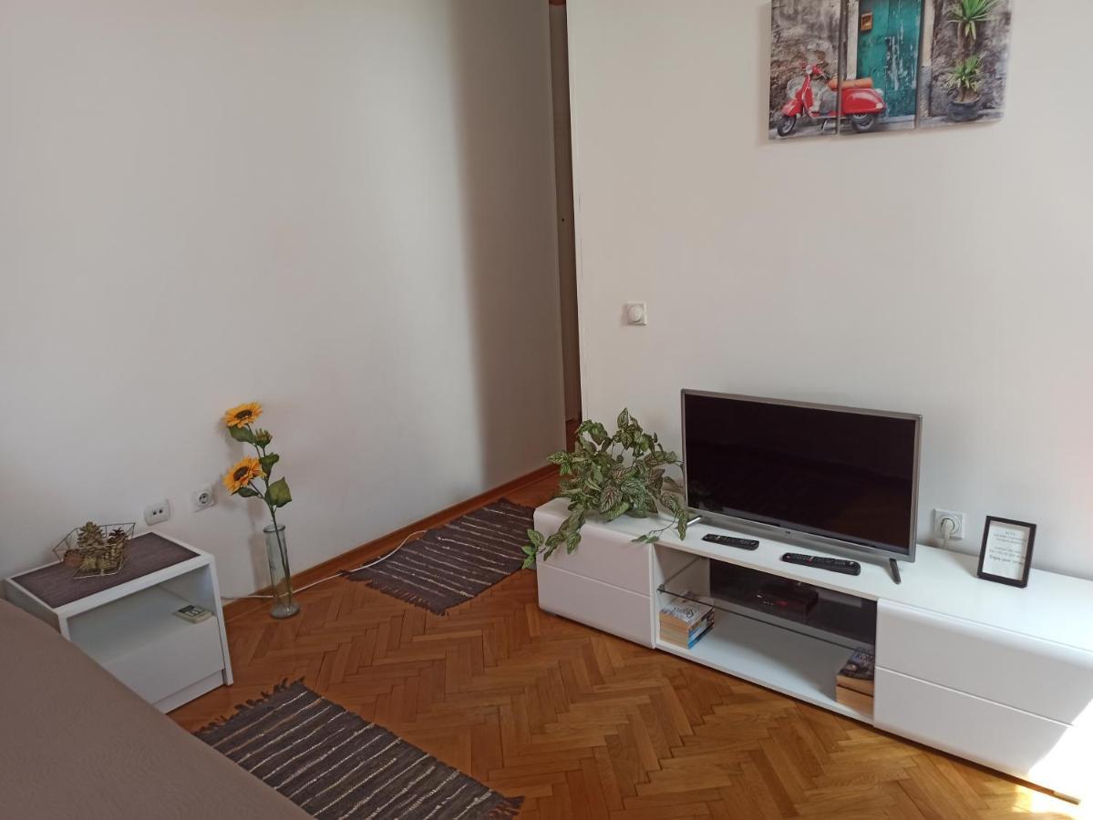 Cozy studio Belgrade  Esterno foto