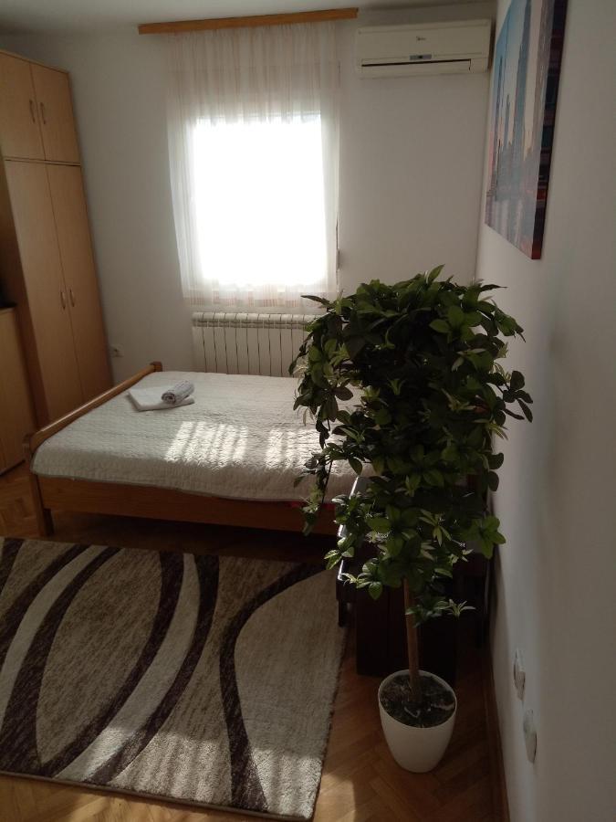 Cozy studio Belgrade  Esterno foto